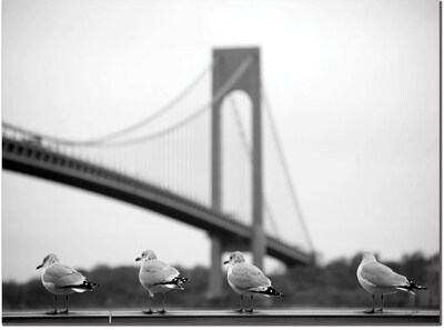 Trademark Global Yale Gurney Verrazano Canvas Art, 14 x 19