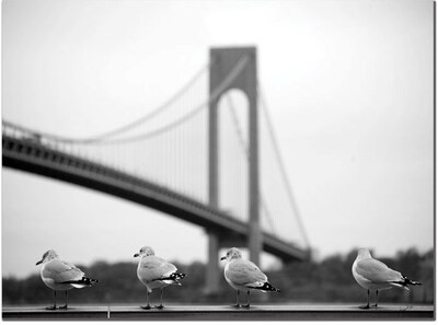 Trademark Global Yale Gurney Verrazano Canvas Art, 24 x 32