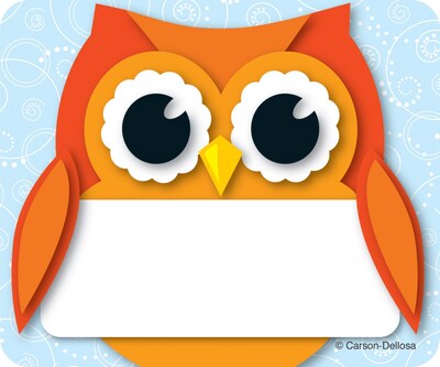 Carson-Dellosa Colorful Owl Name Tags, 40