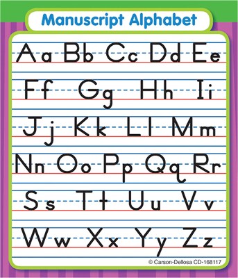 Carson-Dellosa Alphabet Study Buddies™