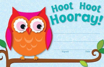 Carson-Dellosa Hoot Hoot Hooray!, Recognition Award