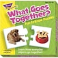 Trend® Fun-To-Know® Early Childhood Puzzles, What Goes Together? (T-36005)
