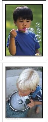 Key Education Photographic Language Development Cards; Actions