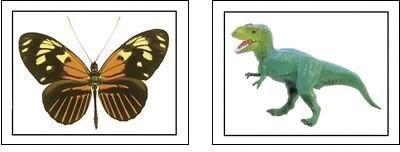 Key Education Photographic Language Development Cards; Alphabet Photo Objects