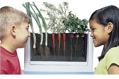 HSP Nature Toys Life Science, Root Vue Farm