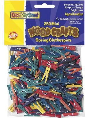 Chenille Kraft Clothespins, Mini Spring, 250/PK, 2 PK/BD