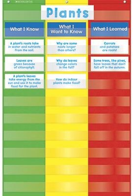 Scholastic - Teachers Friend TF5114 3-Column Pocket Chart