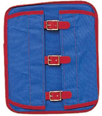 Childrens Factory® Manual Dexterity Board, Buckle (CF-361316)
