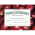Hayes Certificate of Perfect Attendance, 8.5 x 11, Pack of 30 (H-VA513)
