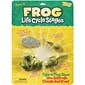 Frog Life Cycle Stages