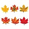 Trend Enterprises 5.5;6 Maple Leaves Classic Accents Variety Pack, 36 Pack (T-10958)