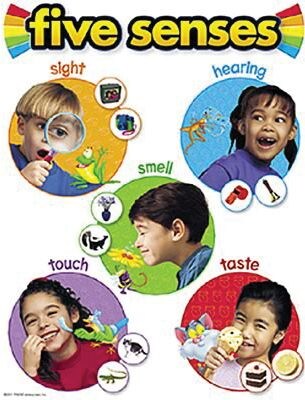 Trend Enterprises Five Senses Learning Chart (T-38051)