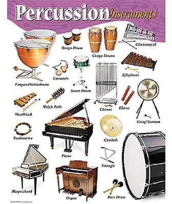 Percussion Instruments Learning Chart