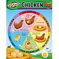 Life Cycle of a Chicken Learning Chart