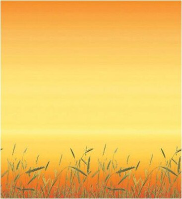 Pacon® Fadeless® Designs Paper; Prairie Grass, 48 x 50 Film Wrapped & Boxed