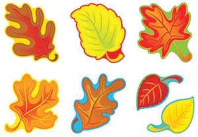 Trend® Classic Accents® Variety Packs, Fall Leaves