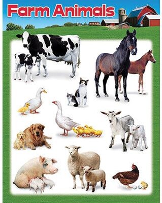 Trend® Learning Charts, Farm Animals