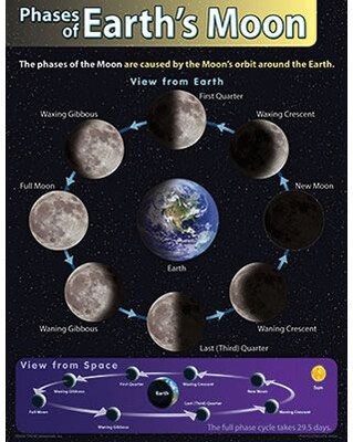 Trend® Learning Charts, Phases of Earths Moon