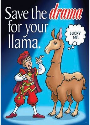 Trend® Educational Classroom Posters, Save the drama for your llama