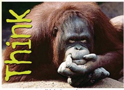 Trend® Educational Classroom Posters, Think