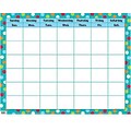 Creative Teaching Press™ Calendars, Dots on Turquoise