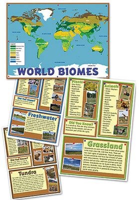 Edupress® Bulletin Board Set, World Biomes