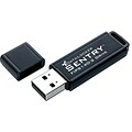 DataLocker Sentry DLSF USB 2.0 Flash Drive; 4GB