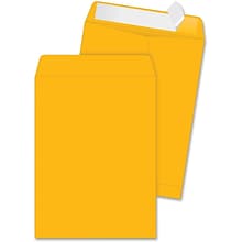Quality Park Durable Kraft Catalog Envelopes, 9 x 12, 250/Ct