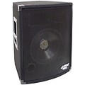 Pyle PADH1079 Two-Way RMS Speaker Cabinet; 500 W