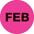 Tape Logic 1 Circle FEB Month of the Year Labels, Fluorescent Pink, 500/Roll