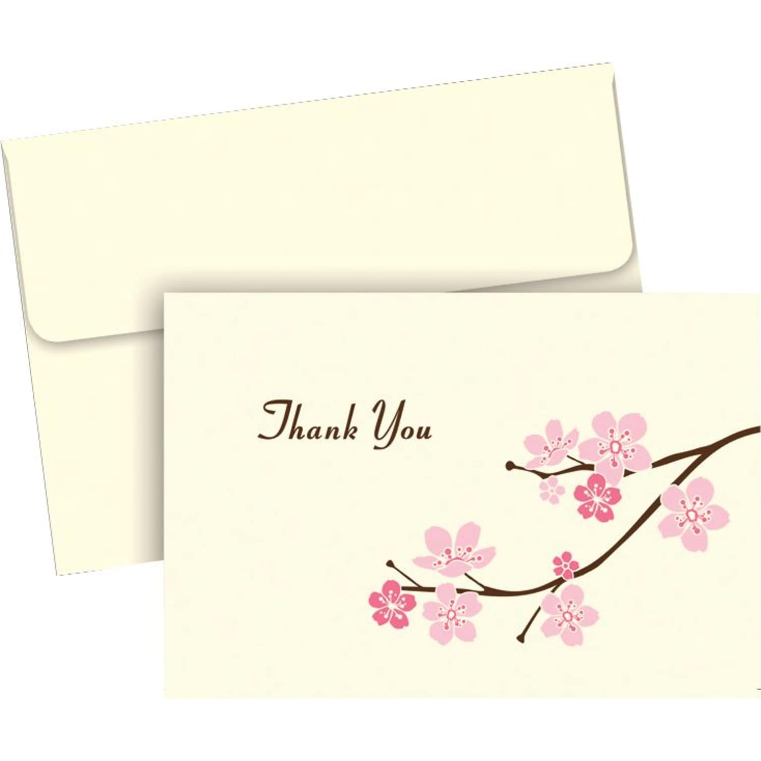 Blossom Branches Thank You, 50 count