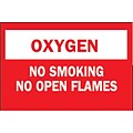 Brady® No Smoking no open flames Chemical & Hazardous Materials Sign, 7(L) x 10(W)