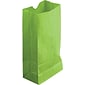 Hygloss Craft Bags, Gusseted Flat Bottom, 6" x 3.5" x 11", Lime Green, Pack of 50 (HYG66519)