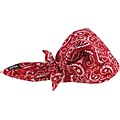 Chill-Its 6710 Evaporative Cooling Bandana, Red Western, One Size, 24/Carton (12325)