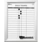 Skilcraft In-Out Dry Erase Board, Aluminum Frame, 11" x 14" (NIB014845261)