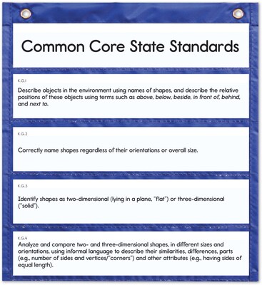 Carson-Dellosa™ Daily Standards Pocket Chart; Grades K - 8
