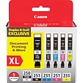 Canon PGI 250 XL/CLI-251 Special Edition Black/Color Ink Cartridge, High Yield, 5/Pack (6432B011)