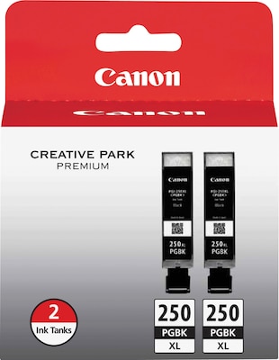 Canon 250XL Black High Yield Ink Cartridge, 2/Pack (6432B004)