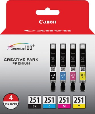 Canon 251 Black/Cyan/Magenta/Yellow Ink Cartridge, 4/Pack   (6513B004)