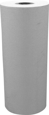 Seiko SII SS112-025A Printing Paper, 4.41"(W) x 82'(L)