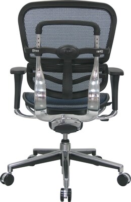 Raynor Eurotech Ergo human Mesh Mid Back Task Chair, Blue