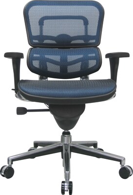 Raynor Eurotech Ergo human Mesh Mid Back Task Chair, Blue