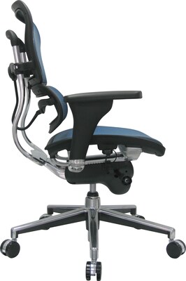 Raynor Eurotech Ergo human Mesh Mid Back Task Chair, Blue