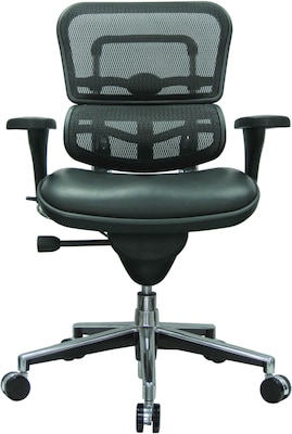 Raynor Eurotech Mesh/Leather Mid Back Ergo human Chair, Black
