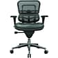 Raynor Eurotech Mesh/Leather Mid Back Ergo human Chair, Black