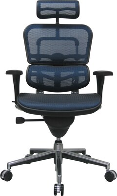 Raynor Eurotech Ergo human High Back Managers Chair, with Headrest and Mesh, Blue