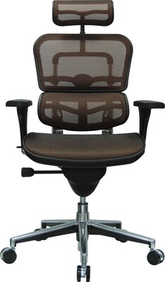 Raynor Eurotech Ergo human High Back Managers Chair, with Headrest and Mesh, Orange