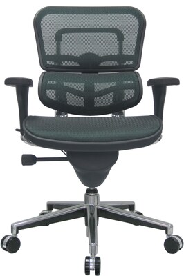 Raynor Eurotech Ergo human Mesh Mid Back Task Chair, Green