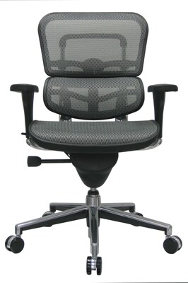 Raynor Eurotech Ergo human Mesh Mid Back Task Chair, Gray