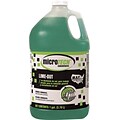 Diversey® Lime Out Delimer, 4 x 1 Gallon